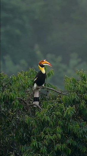 What's Happening in NATURE Right Now?