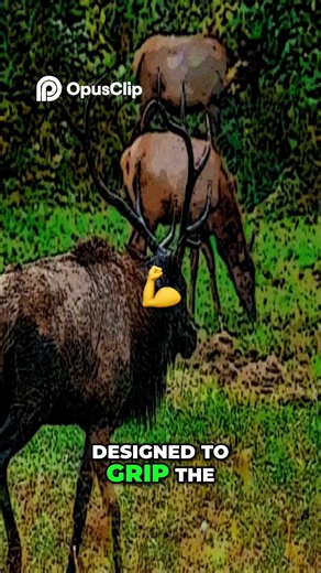 Ungulate Engineering Nature's Perfect Foot Design