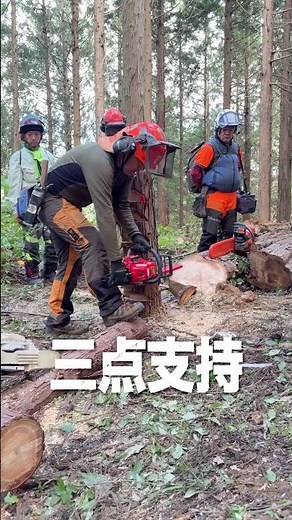 林業マンに聞きました🪵チェーンソーの持ち方 コツ編