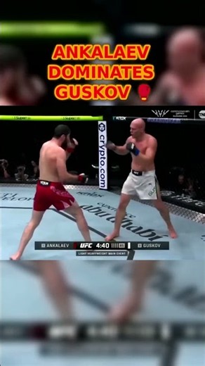 The TKO finish that shook the division: Ankalaev vs Guskov highlights
