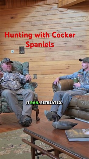 Hunting with Cocker Spaniels #dogtraining #gundogs #cockerspaniel #huntingdogs #uplandhunting