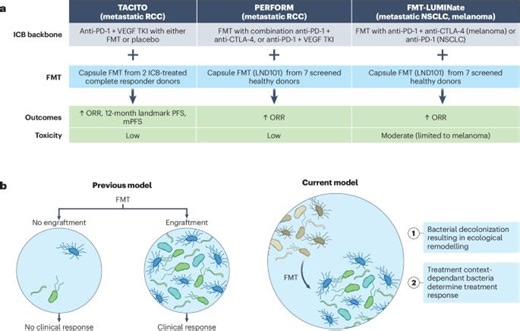 FMT Trials Reveal Microbiome s Role in Cancer Immunotherapy | Johan E.T. van Hylckama Vlieg posted on the topic | LinkedIn