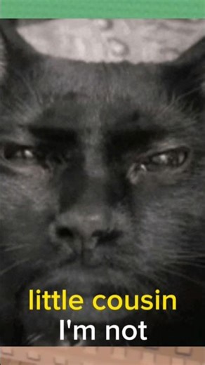 I hate labooboos #automobile #roblox #helpmemakethismakesense #gorillatag #funny #gorilla #games