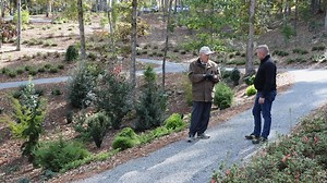 Choosing The Correct Conifer There are several things we need to consider when selecting dwarf conifers for our landscape. Sun is, of course, one important consideration. But there are several others. To learn more click here for an informative video. | GardenSMART