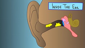 What Your Earwax Says About You | Gross Science