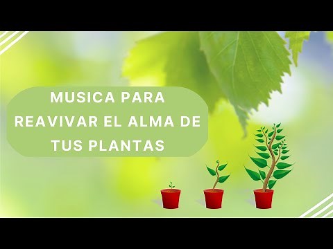 REVIVE TUS PLANTAS, MUSICA PARA CRECER Y ARMONIZAR PLANTAS