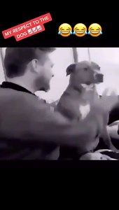 320K views · 53 reactions | WaveCast Network Inc. on Reels | Facebook