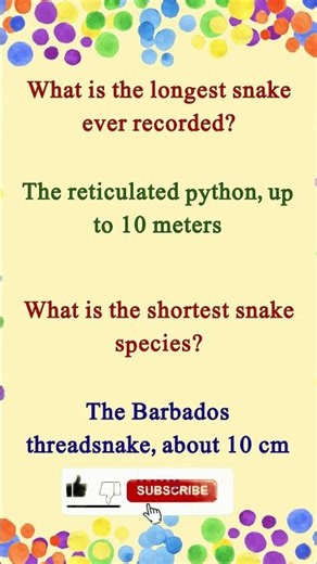 Longest Snake 🐍 vs Shortest Snake on Earth 🤯