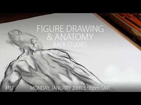 Figure Drawing - Back Studies #187