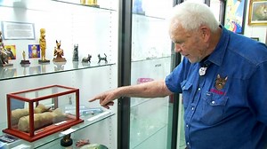 North Carolina museum celebrates the house cat