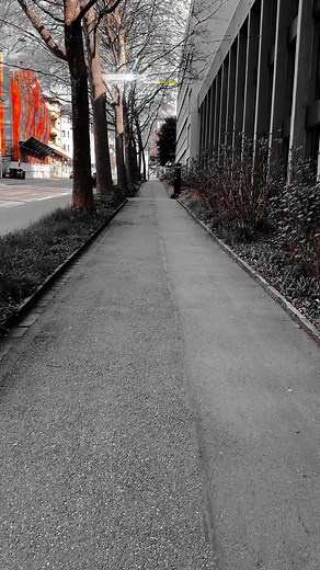 Müslüm Gürses Ayrılık Acı Bir şey #_harbimusic_ #müslümgürses #ayrılıkacıbirşey