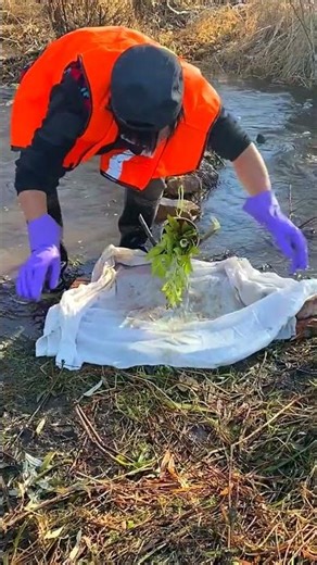 Best Unique Tool Fish Trap Of Catching Lot Of Fish 🎣Awesome Fishing🐟 #fishing #icefishing #shorts