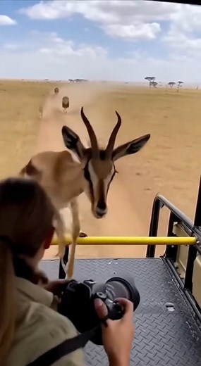 37K views · 92 reactions | Amazing beautiful nature on Reels | Facebook