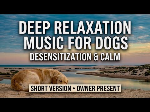 Deep Calm Training Series – Vol. 03 | 5-Minute Calming Music for Dog Anxiety