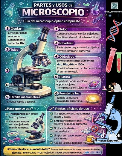 Partes y Usos del Microscopio: Guía Completa