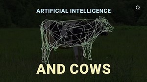 AI and cows. They are not the 2 terms typically used together, but in the dairy industry that's beginning to change. | Bloomberg Originals | Facebook