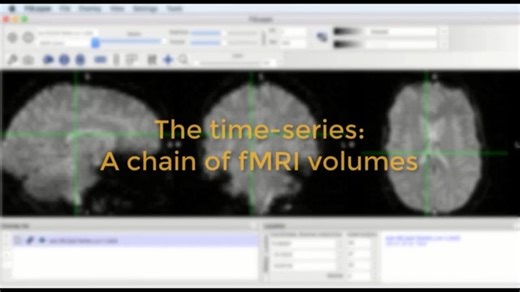 fMRI Short Course #3_ Reviewing fMRI Data with FSLeyes