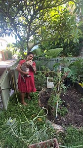 My cat Lucy keeps pooping on my garden | Anita Kuruku