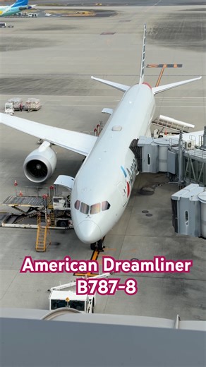 B787-8 Dreamliner, American Airlines at Haneda