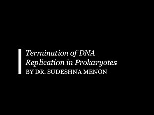 Termination of DNA Replication in Prokaryotes