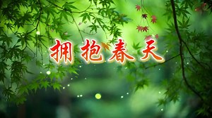 拥抱春天 学生春天诗歌朗诵春姑娘春暖花开演讲配乐大屏幕高清LED背景视频素材