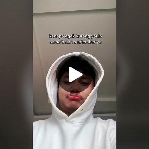 Understanding Language Through Simple Visuals