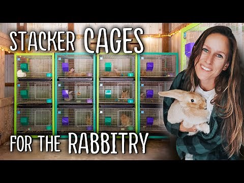 Creating STACKER CAGES for the Rabbitry | Creme d'Argent Meat Rabbits