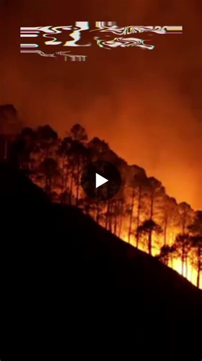 #firepump #firefightingequipment #wildlandfirefighting #emergencyresponse #highpressurepump #firesafety #waterpumptechnology #innovationinsafety #firerescue #industrialsafety #disasterresponse… | Tek Chand Sons