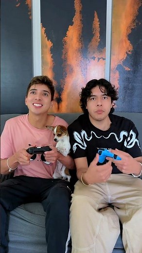 A los PERRITOS 🐶 NO SE LES TRATA MAL 👎🏻 ellos son FAMILA ❤️ 🤯 que dicen usteees?