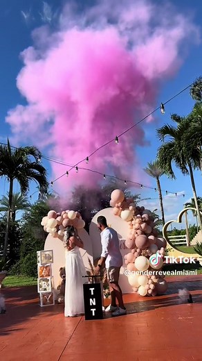 Explosive TNT Powder Blasters Gender Reveal Ideas