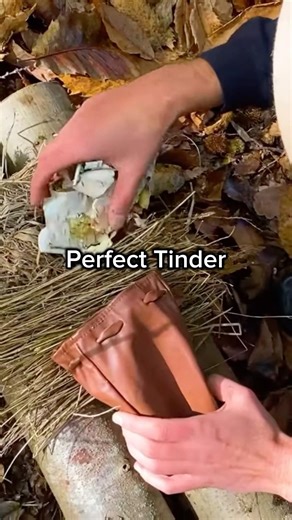 How to Find Dry Tinder & Kindling in the Wild 🔥#fire #outdoorskills #bushcraft