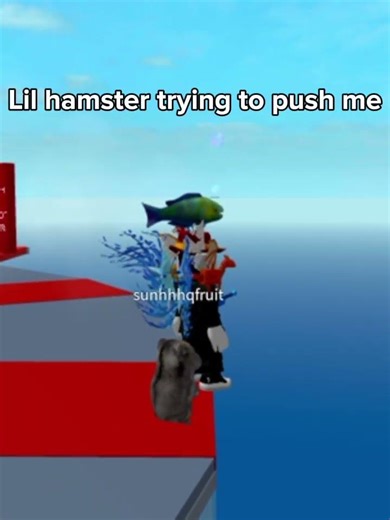 Hamster #roblox #funny