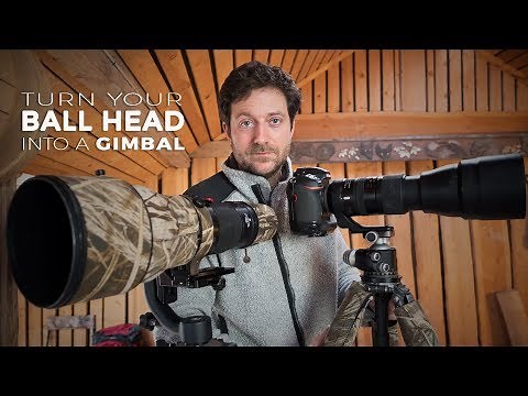 HOW TO TURN YOUR BALL HEAD INTO A GIMBAL | tips for wildlife photography [photo friday]