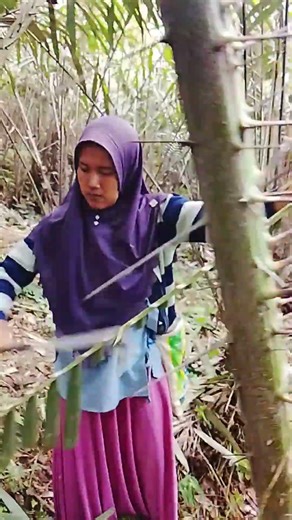 salak nggak butuh drama,dia cuma butuh dipangkas.#short #petanisalak #pruningsalak