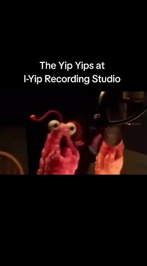 The Yip Yips Recording Studio Fun