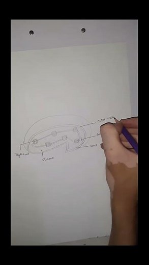 How to draw the structureof cytoplasm