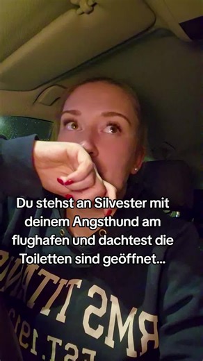 Silvester mit dem Angsthund am Flughafen