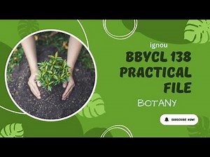 BBYCL 138 PRACTICAL FILE l IGNOU I BSCG I BOTANY