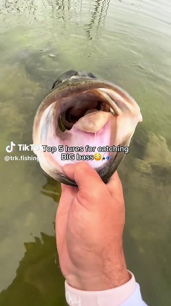 Top 5 lures for big bass!👀 #fishing #fishtok #fup #foryou #fishinglife #fishingtiktoks