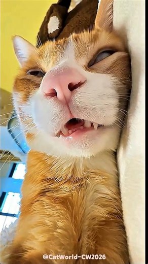 Bro is tried of Life 😳 No.2