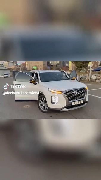 Hyundai Palisade VIP 2020 Disponible en Afrique