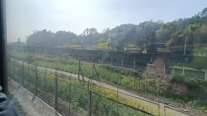 6065次列车运行在襄渝线上，天气晴朗阳光明媚，交汇敞车 #火车视频 #高铁动车 #火车