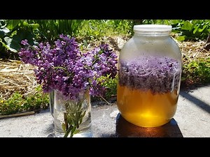 Lilac flower syrup - recipe check ♡