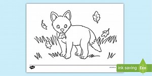 Baby Fox Colouring Sheet