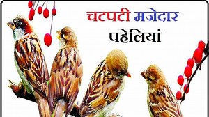 बच्चो के लिए मजेदार रोचक पहेलियां amazing riddles for kids hindi