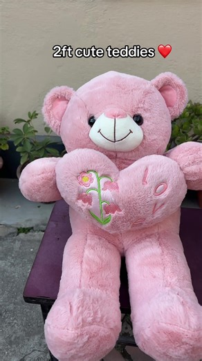 Adorable 2ft Cute Teddies for Valentine's Gifts