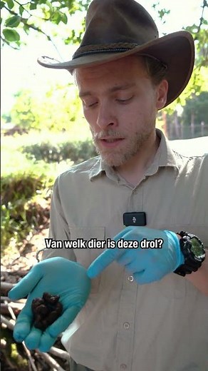 Van welk dier zou deze drol zijn? 💩 | DierenPark Amersfoort