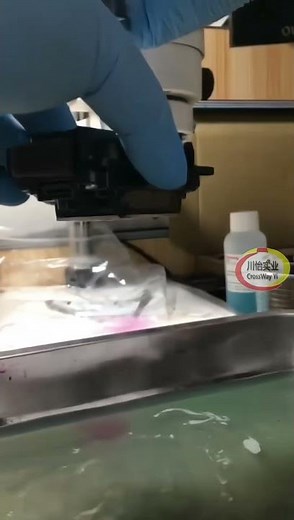 Cleaning Epson Printhead Manaul Fix Clog Head Problems for the Inkjet Printers