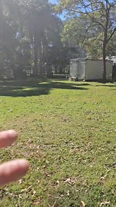 11K views · 202 reactions | Do snake repellers work? | Harrison's Gold Coast and Brisbane Snake Catcher | Facebook