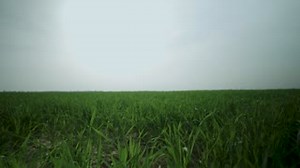 11K views · 183 reactions | ADAMA promotes renewable energy,...